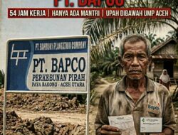 Jeritan Buruh di PT Bapco Paya Bakong: Kerja Diduga 54 Jam Seminggu, Gaji di Bawah UMP, Hanya Diberi ‘Mantri’ Saat Sakit