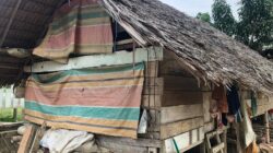 Foto: Potret Rumah Lansia di Alue Bungkoh
